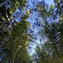 남가람공원 이미지