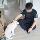 디반식스 이미지