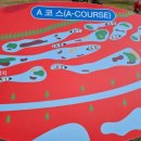 국제파크 이미지