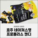 네이쳐스 온 | 목이 칼칼할 때 하나씩 먹게 되는 프로폴리스 캔디, 호주 네이쳐스영 프로폴리스 캔디 후기