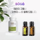 데이라임