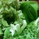 장보고농산물마트 이미지