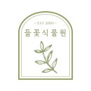 들꽃다육식물 이미지
