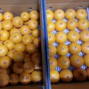 현철농장 이미지