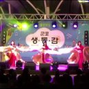 2015 생동감 축제 - 강사반 벨리댄스 공연 영상 이미지