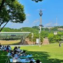 야외음악당 이미지