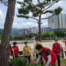 삼향-6 이미지
