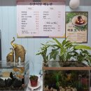 주안식당 - 세종특별자치시 | 주안식당