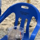 성북레포츠센터 앞 | [광안리 요트투어] 광안리해양레포츠센터 벚꽃 요트 후기/데이트코스 추천 /주차, 시간 꿀팁 총정리!!