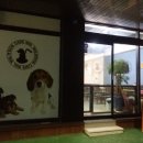 왈왈이 (무실점) 이미지