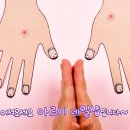 아르미네일 이미지