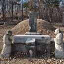 박대립선생묘 및 신도비 이미지