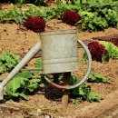 장비농장 이미지