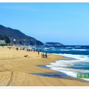 정동진역 이미지