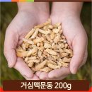 뿌리건강