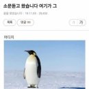 [캠우리7기] 우리은행대학생홍보대사 (캠퍼스우리) 활동 후기와 느낀점