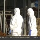 안서농장 이미지