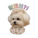 대림각찐짬뽕