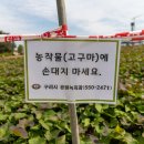 한강시민공원(파고라 쉼터) 이미지