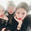 이쁘당개 이미지