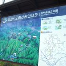 천장호 출렁다리 이미지