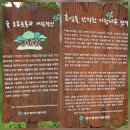 다리목 | ♨.달성군 옥포읍-다리목마을 이팝나무 군락지_2026.08.30