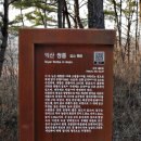 쌍릉 | 익산 쌍릉(益山 雙陵).전북