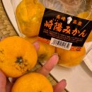 은하마트 | 오키나와 북부 세소코섬 마트 빅익스프레스