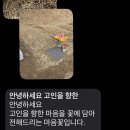 납골당 꽃다발배송 마음꽃후기