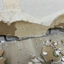 장판지물 | 19평형 투룸 아파트 전체 광폭합지도배 및 장판 시공 첫날 후기 | 곰팡이 도배의 진수를 보여드립니다.