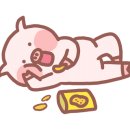 샐러드로우앤트라타연남점 이미지