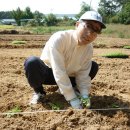 여주-0518 Daum카페
