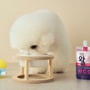 미음펫푸드 세계일보