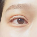 엘속눈썹 이미지