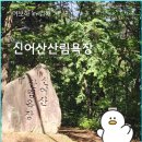 신어산 산림욕장 | 신어산산림욕장 &amp; 은하사｜김해 도심 속 시원한 숲속 피서지