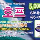 영호프 이미지