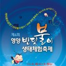 제4회 영양반딧불이 생태체험축제 (2008.06.28~2008.06.29) 이미지