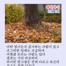 매일양식2