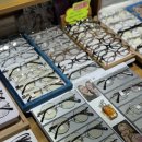 아이비안경원 | 수원 퍼블릭비컨 가벼워진 긱시크 뿔테 로코(ROCO) 2026년 퍼블릭비컨 신상 예쁜안경원 본점 입고