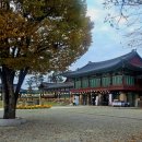 용주사효행박물관 | 서울 근교 가을 단풍 명소 용주사 l 조용하게 걷기 좋은 화성 가볼만한 곳🍁