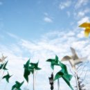 바람개비 이미지