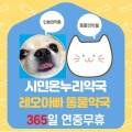 옥정온누리약국 이미지
