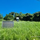 여수...거문도 임병찬 의사 순지비殉趾碑 이미지