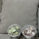 어린이집간식 건어물홀릭 설화 쫀득쿠키 마시멜로우