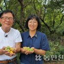 김연화농장 이미지