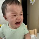 엄마랑 유리드믹스6-11개월 A | 베이비본죽 vs 집밥 승부! 9개월 아기 첫 시판이유식 리얼 후기