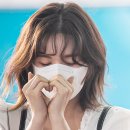 와니 이미지