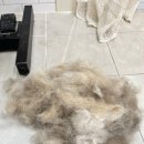 림앤도기살롱 이미지