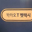 보리펫택시 이미지