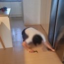 시티세탁 이미지